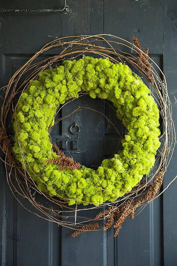 Reindeer Moss Wreath - Green by Anthropologie, alternate view
