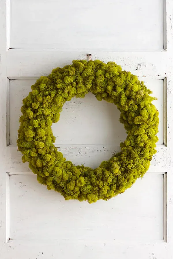 Reindeer Moss Wreath - Green by Anthropologie