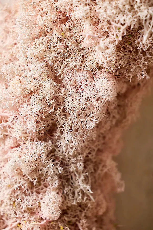 Reindeer Moss Wreath - Pink product