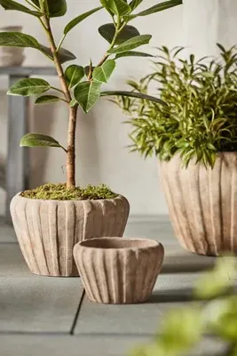 Ribbed Low Taper Pot - Terracotta by Anthropologie, alternate view