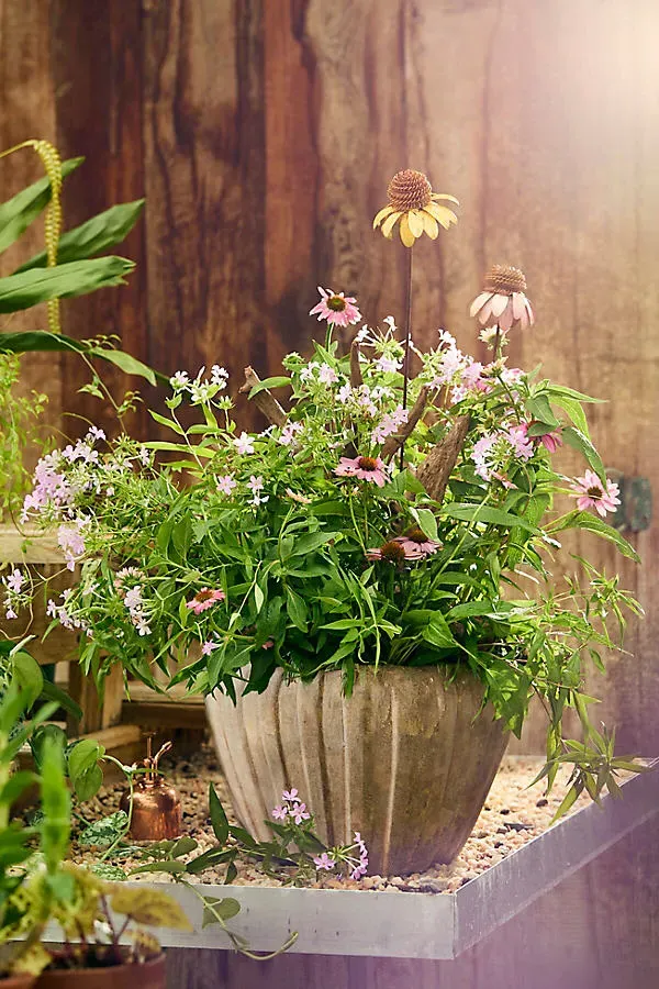 Ribbed Low Taper Pot - Terracotta by Anthropologie