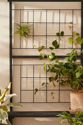 Rolling Iron Shelf Plant Stand - Black product