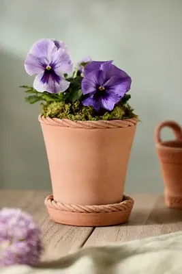 Rope Rim Galestro Pot and Saucer Set - Brown, Terracotta product