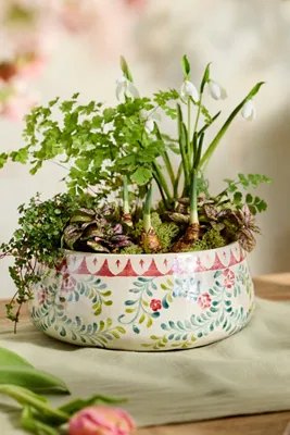 Rose Vine Bowl Planter - Terracotta product