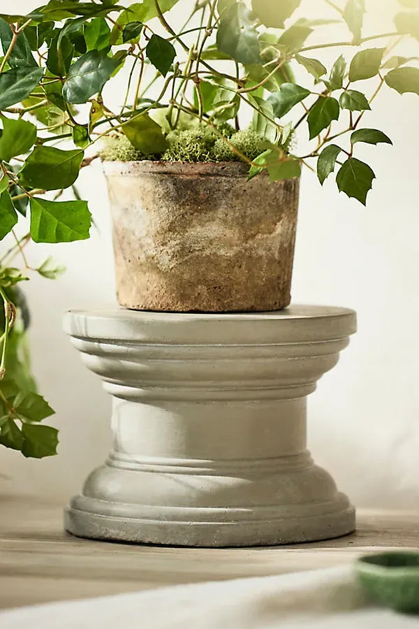 Round Cement Pedestal Plant Stand by Anthropologie