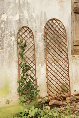 Rounded Top Willow Trellis Set of 2 - Natural by Anthropologie, image 2
