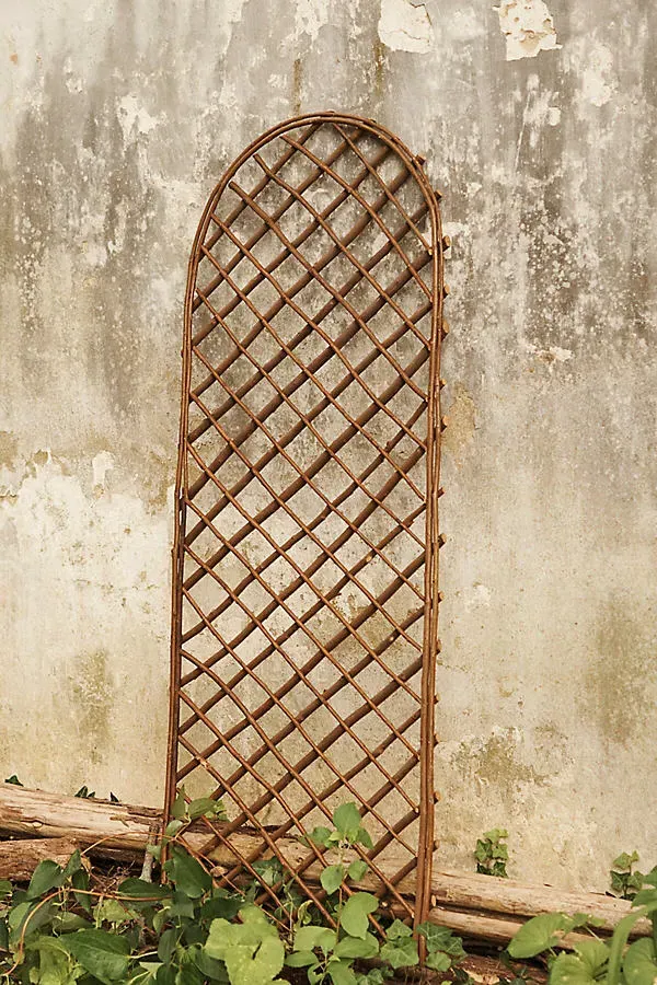 Rounded Top Willow Trellis Set of 2 - Natural by Anthropologie