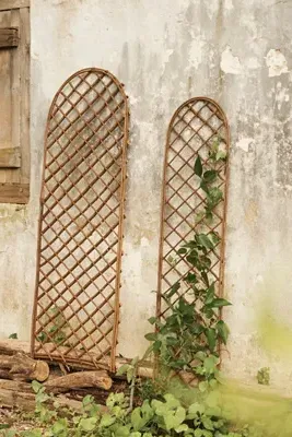 Rounded Top Willow Trellis Set of 2 - Natural product