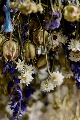 Royal Nigella Dried Bouquet - Purple product