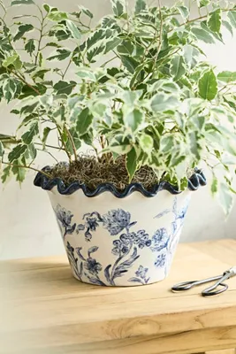 Ruffled Blue Lace Terracotta Planter 5" product