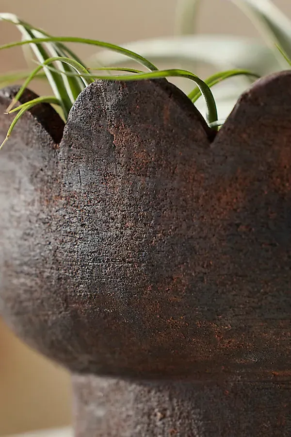 Scallop Edge Bowl Planter - Terracotta product