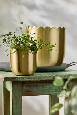 Scallop Edge Brass Planter 5" - Gold, Brass product