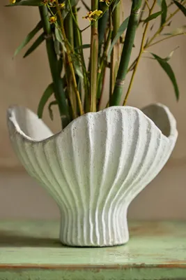 Scallop Shell Bowl Planter - Terracotta, Ivory product