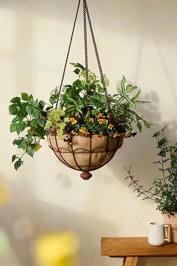Scalloped Iron Wire Hanging Basket Planter - Brown by Anthropologie