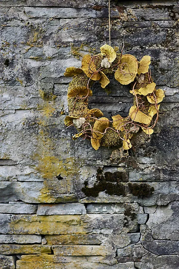 Shelf Mushroom Moss Wreath - Green by Anthropologie