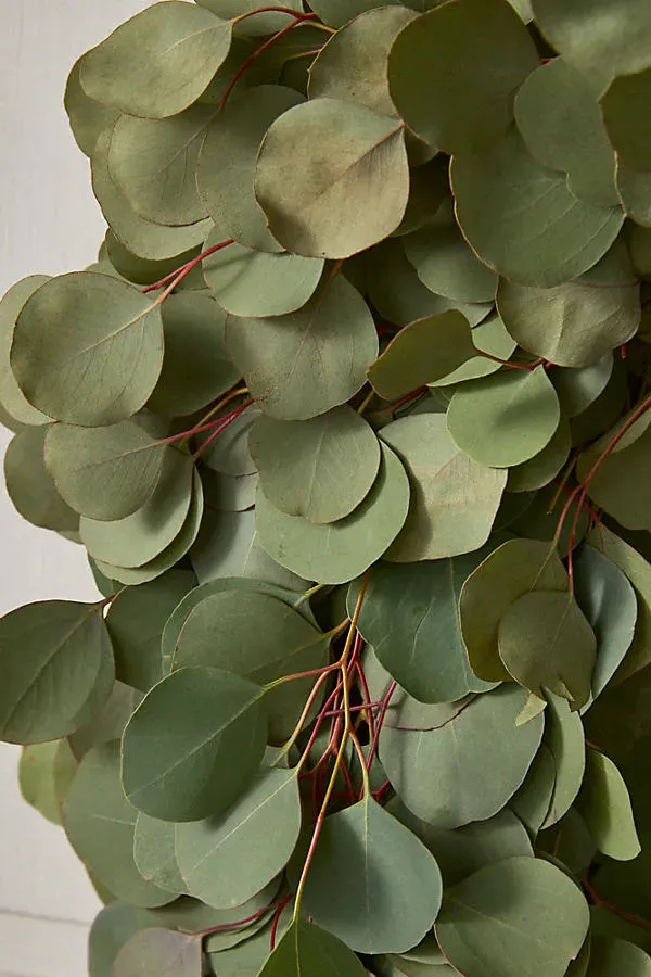 Silver Dollar Eucalyptus Wreath - Green product
