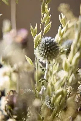 Silver Lake Dried Bouquet - Natural product