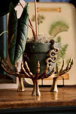 Skeleton Hand Round Plant Stand - Brass by Anthropologie, alternate view