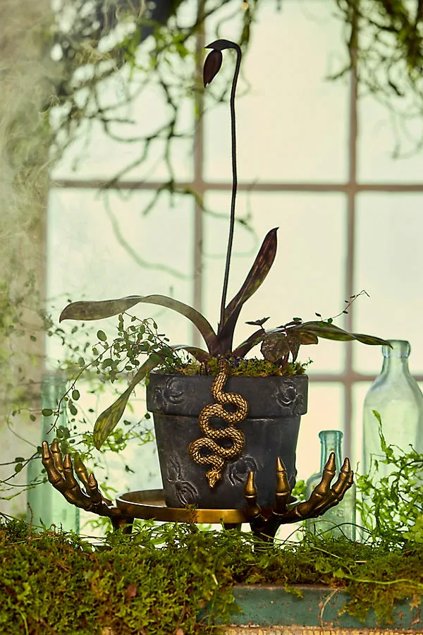 Skeleton Hand Round Plant Stand - Brass by Anthropologie