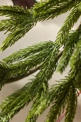 Skinny Norfolk Pine Faux Garland 9ft - Green, Plastic by Anthropologie, image 2