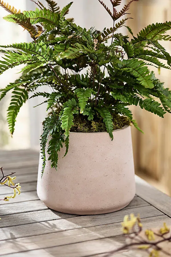 Sloped Side Planter - Brown, Cement product