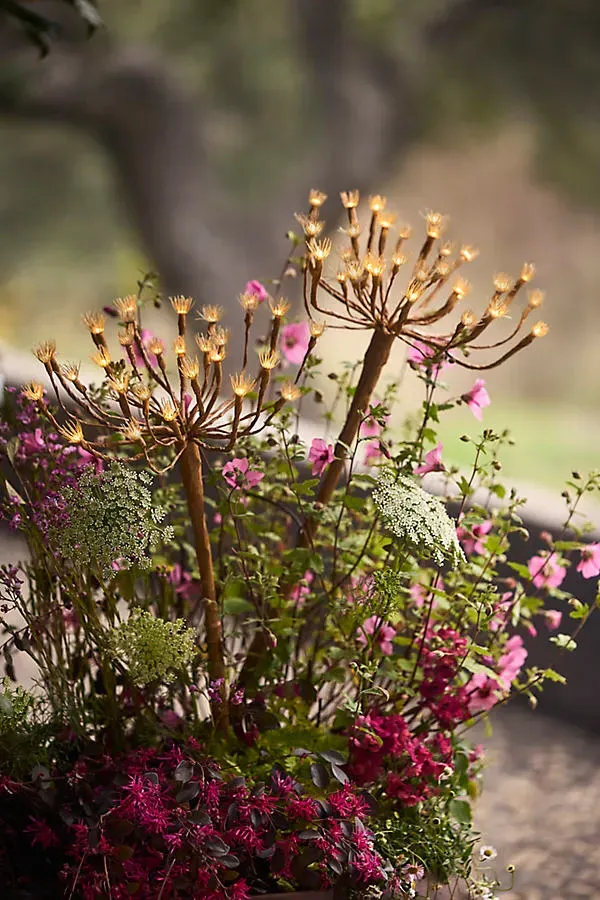 Solar Fennel LED Stake Light by Anthropologie