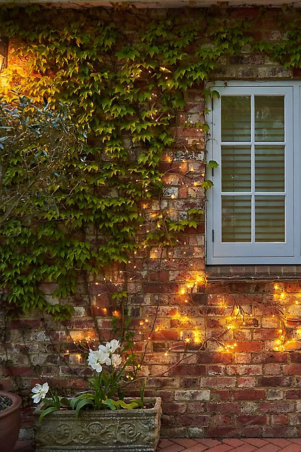 Solar LED Ivy Branch Lights - Warm White, Plastic by Anthropologie