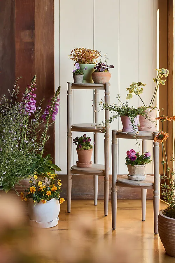 Solarium Tiered Teak Plant Stand product