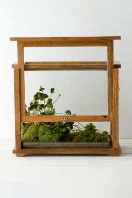 Specimen Case Terrarium with Sliding Front Panel by Anthropologie, alternate view
