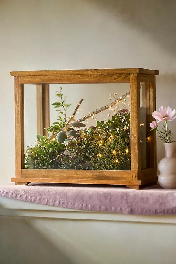 Specimen Case Terrarium with Sliding Front Panel by Anthropologie