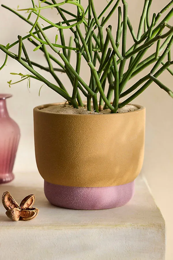 Spectrum Footed Stoneware Planter - Orange by Anthropologie