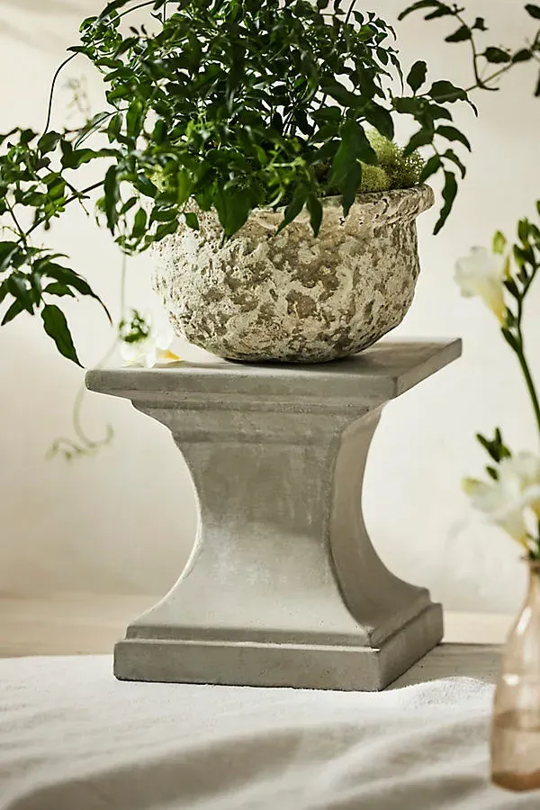 Square Cement Pedestal Plant Stand by Anthropologie