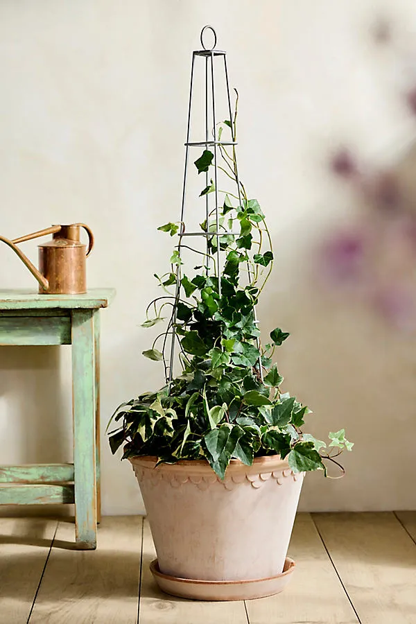 Square Iron Garden Obelisk - Black by Anthropologie