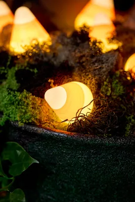 Stargazer Garden Lights Set of 21 Bulbs - Candy Corn product