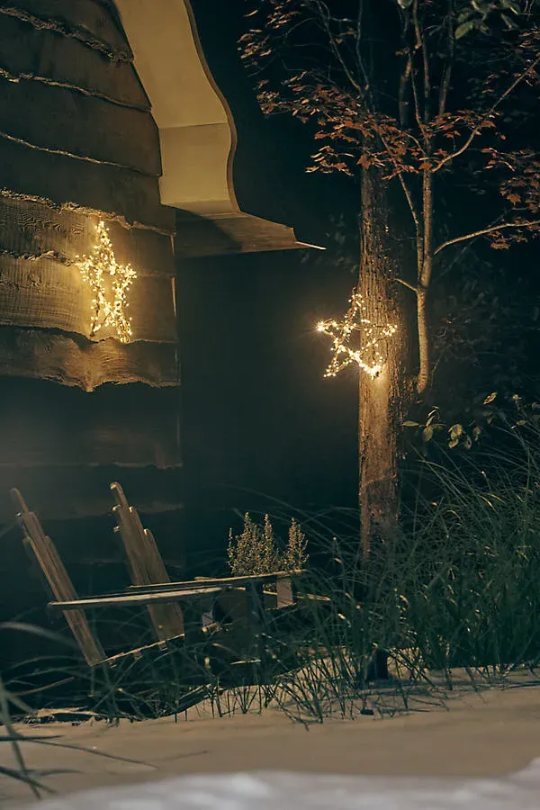 Stargazer Illuminated LED Vine Star - Medium by Anthropologie