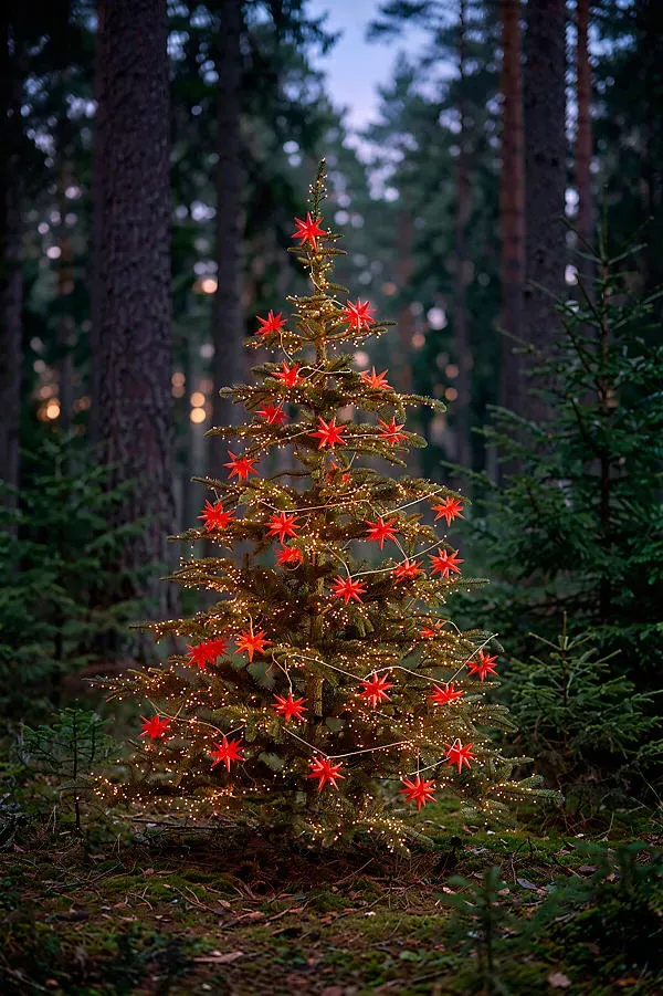 Stargazer Moravian Star String Lights - Red, Plastic by Anthropologie