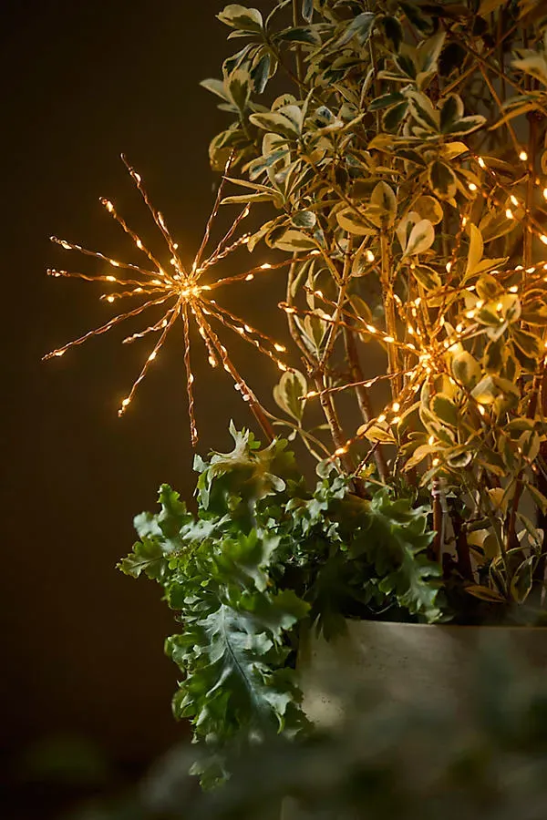 Stargazer Supernova Stake Lights Set of 3 by Anthropologie