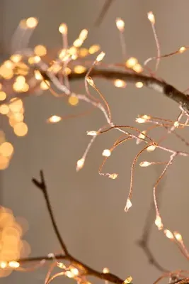 Stargazer Tendril Vine Lights - Plastic by Anthropologie, alternate view