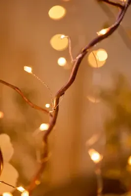 Stargazer Twinkling Multi-Strand LED Curtain - Copper by Anthropologie, alternate view