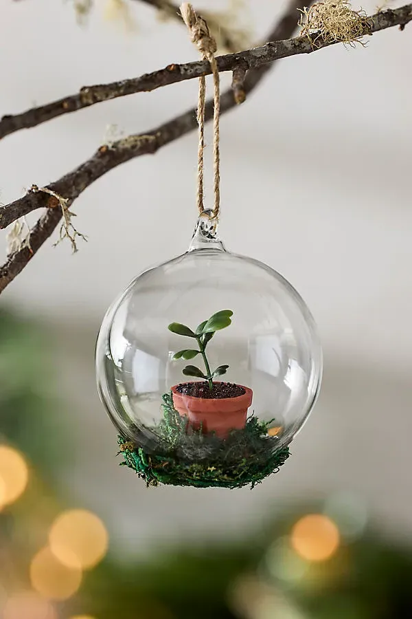 Succulent Glass Globe Ornament by Anthropologie