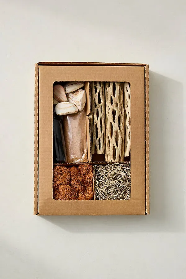 Succulent Terrarium Planting Kit - Orange product