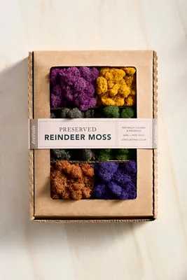 Superbloom Preserved Moss Collection by Anthropologie, alternate view