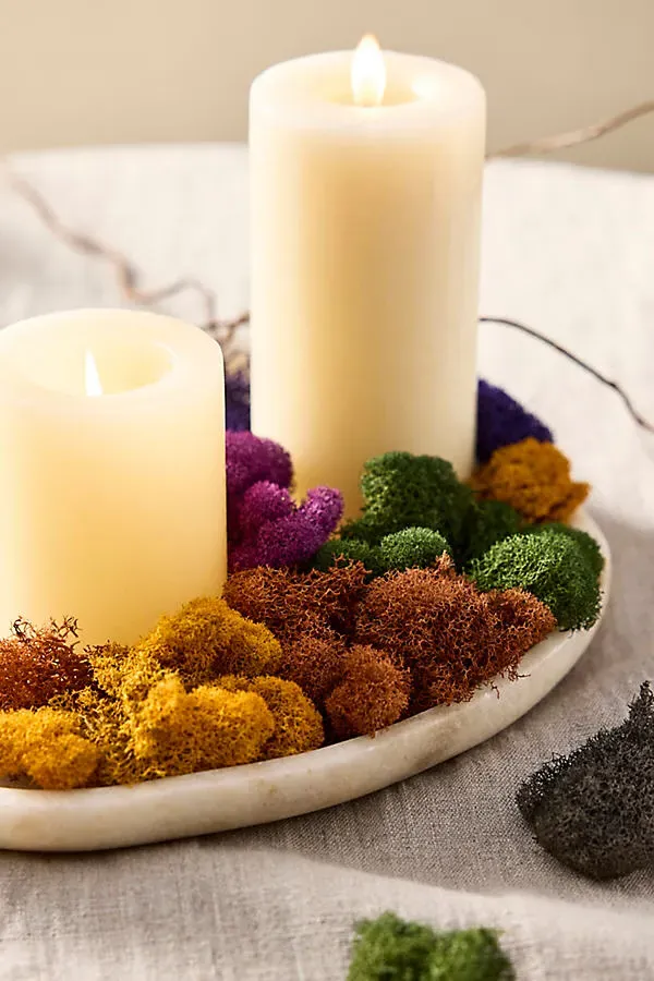 Superbloom Preserved Moss Collection by Anthropologie