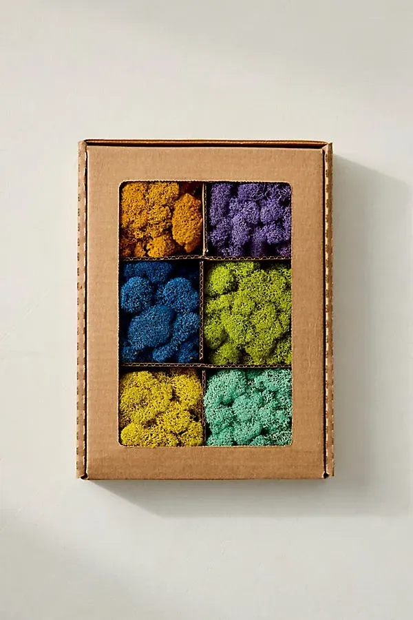 Superbloom Preserved Moss Collection product