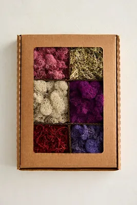 Sweetheart Preserved Moss Collection product