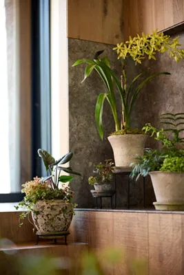 Tall Plant Stand - Matte Black product