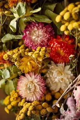 Tansy Garden Dried Wreath - Natural Botanicals product