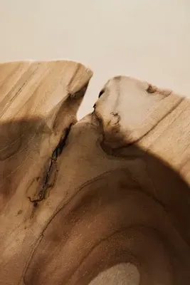 Teak Root 12" Bowl Planter - Teak product