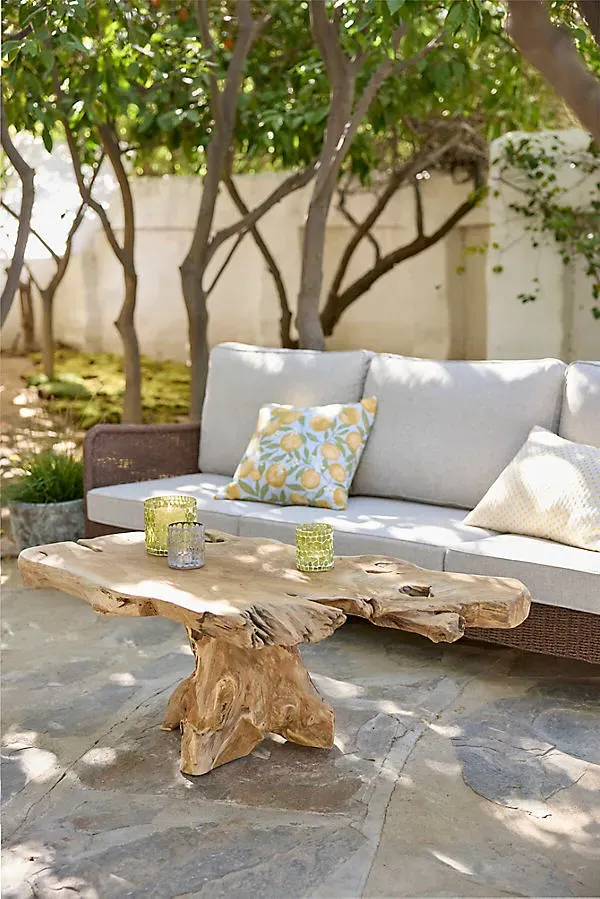 Teak Root Coffee Table - Natural Teak by Anthropologie
