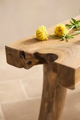 Teak Root Mudroom Bench - Natural Teak product